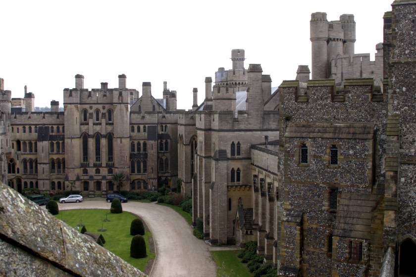 Busy_Building_IMG_8504