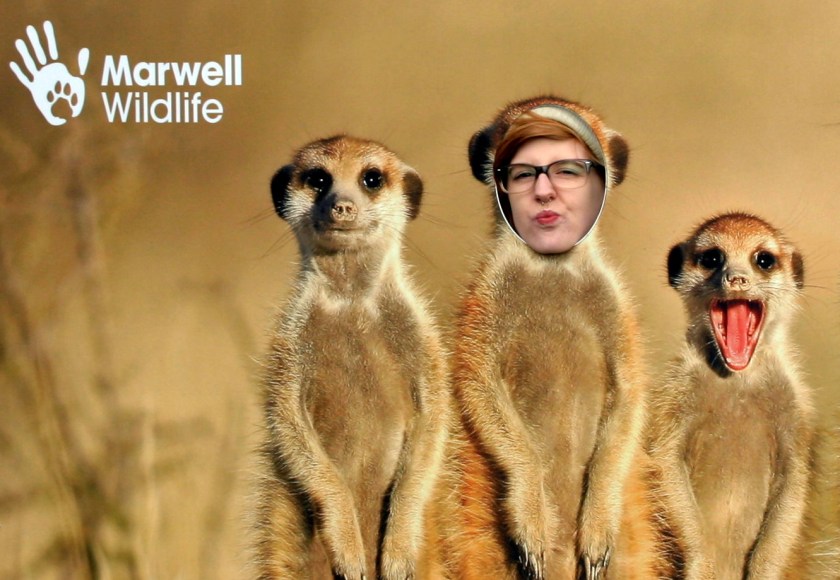 Sergei with his new girlfriend. Aleksandr seems upset.