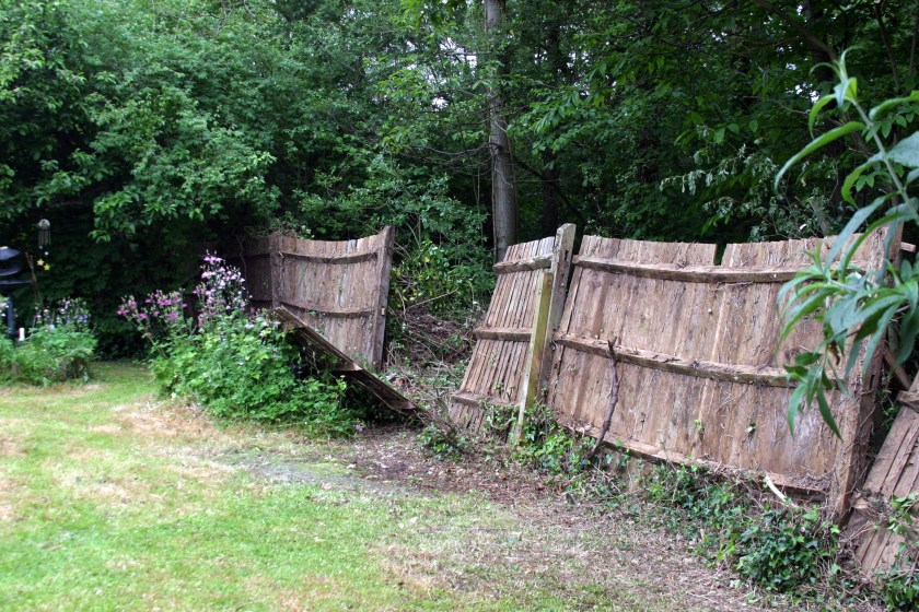 So that's what the fence looks like.