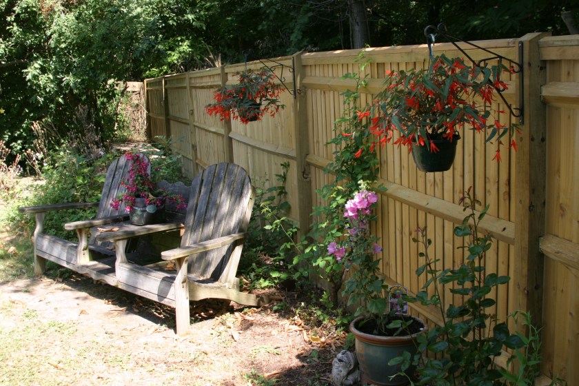 New fence, new plants. Getting our garden back.