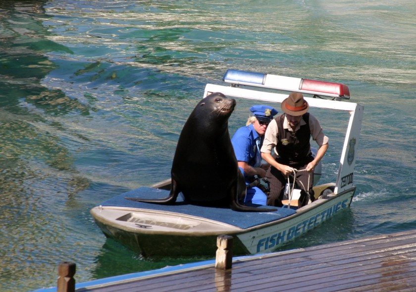 The Fish Detectives Fish Detective