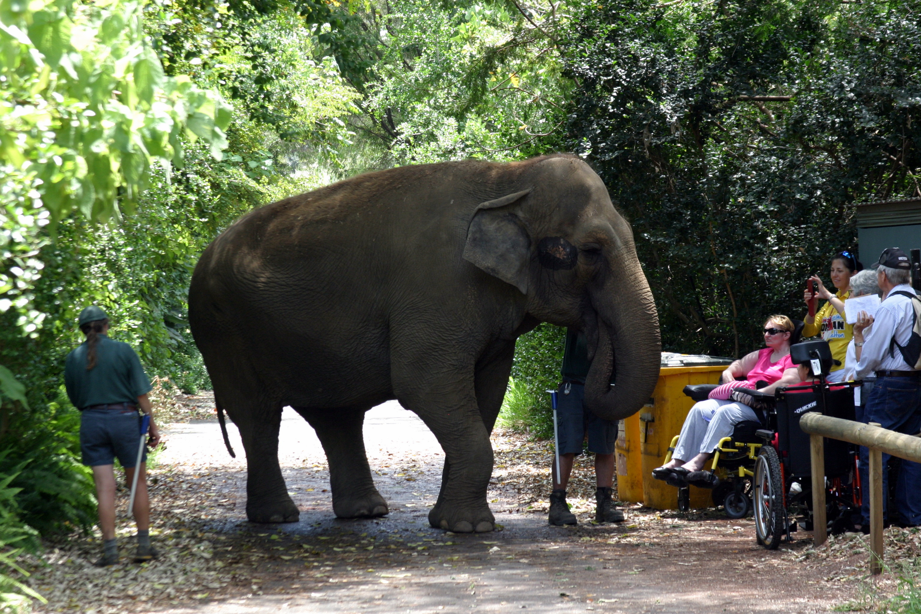 Perth Zoo - Tricia 2