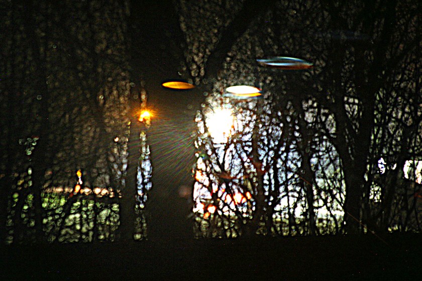 View From The Conservatory