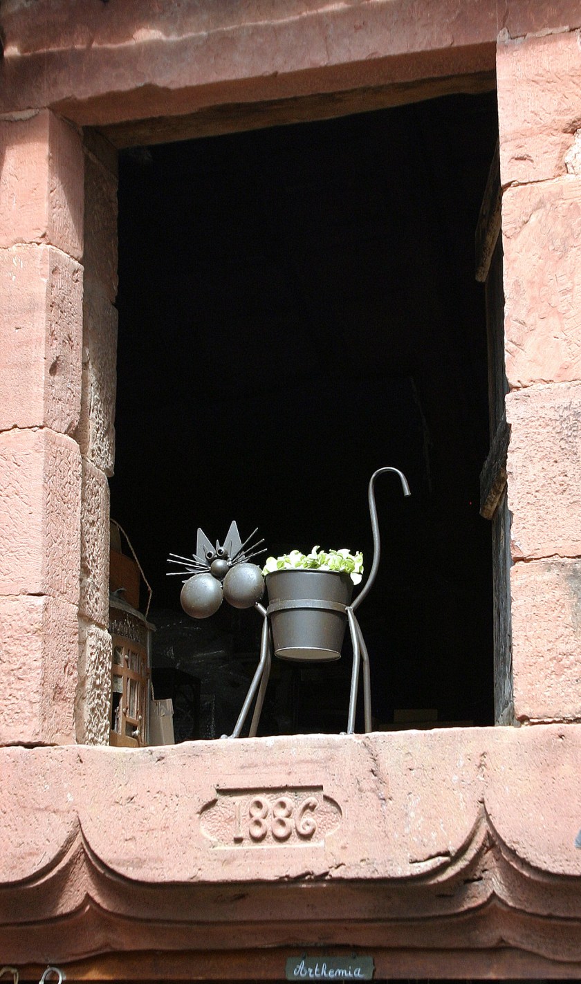 Collonges-la-Rouge, France - Le Chat