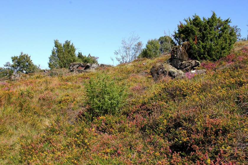 Pierres du Mas, Limousin, France