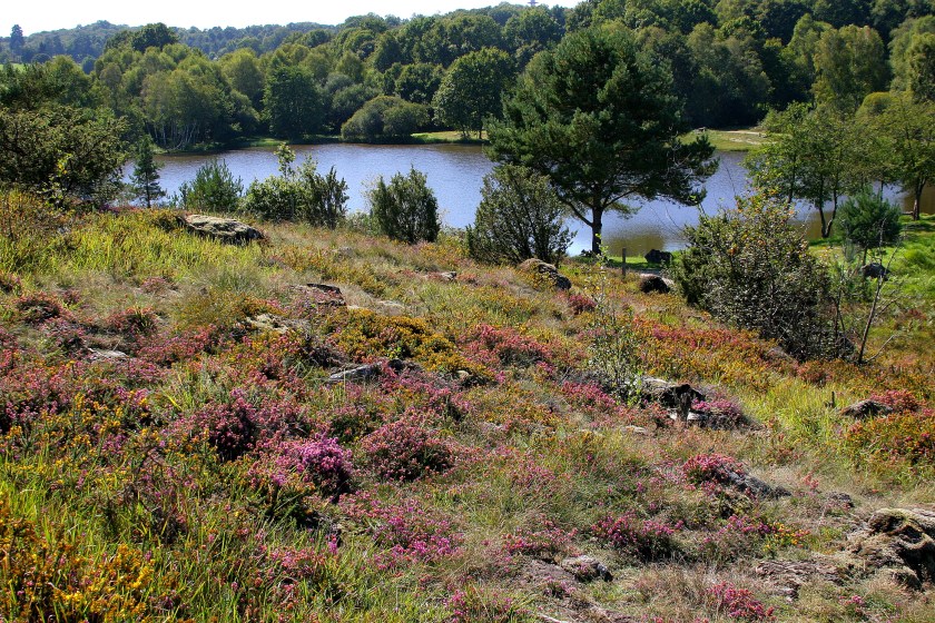 Pierres du Mas, Limousin, France