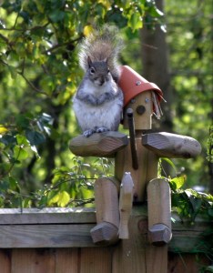 Gone_Fishing4_IMG_2381