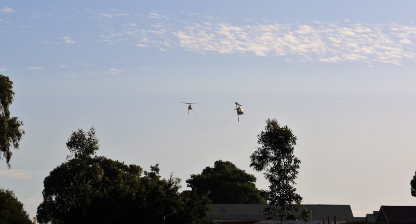 Helicopters - Bushfire - Near Waterperry Drive, Perth WA.
