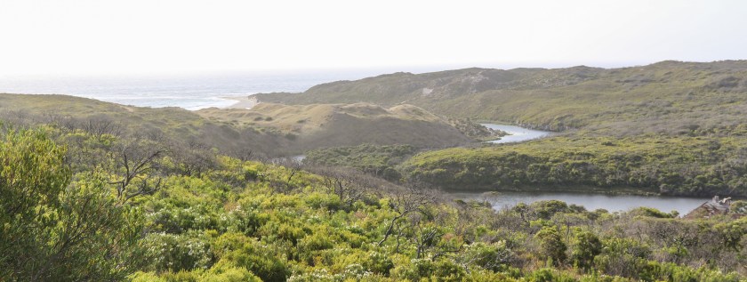 Margaret River - Flowing Out To Sea
