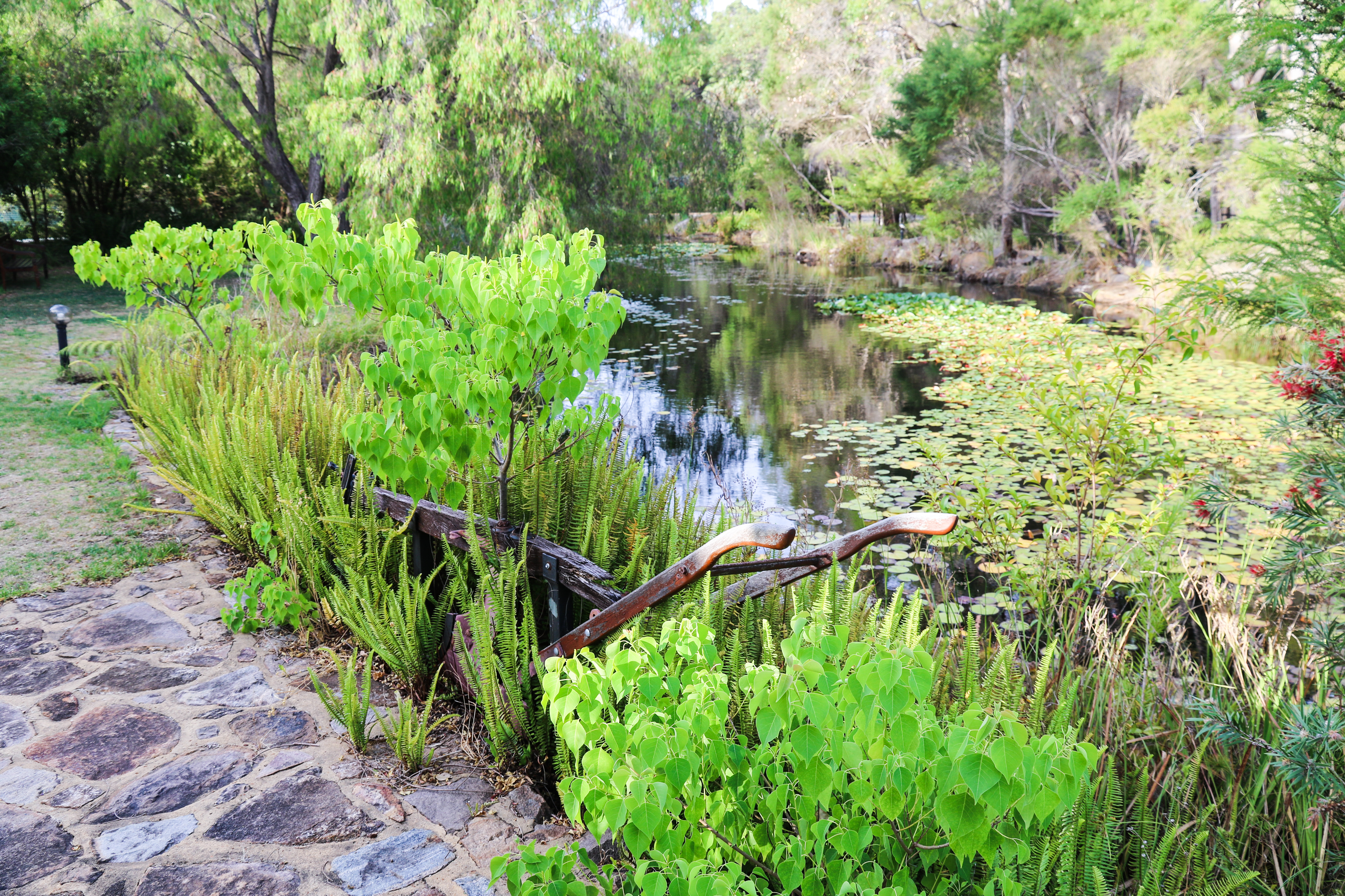 Main Pond, Quality Inn - Margaret River, WA