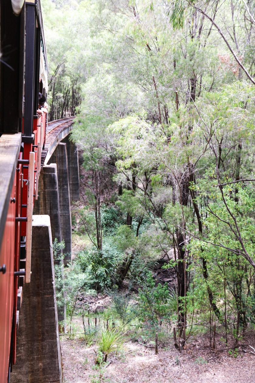 East Brook Bridge, Pemberton Tramway - Pemberton, WA