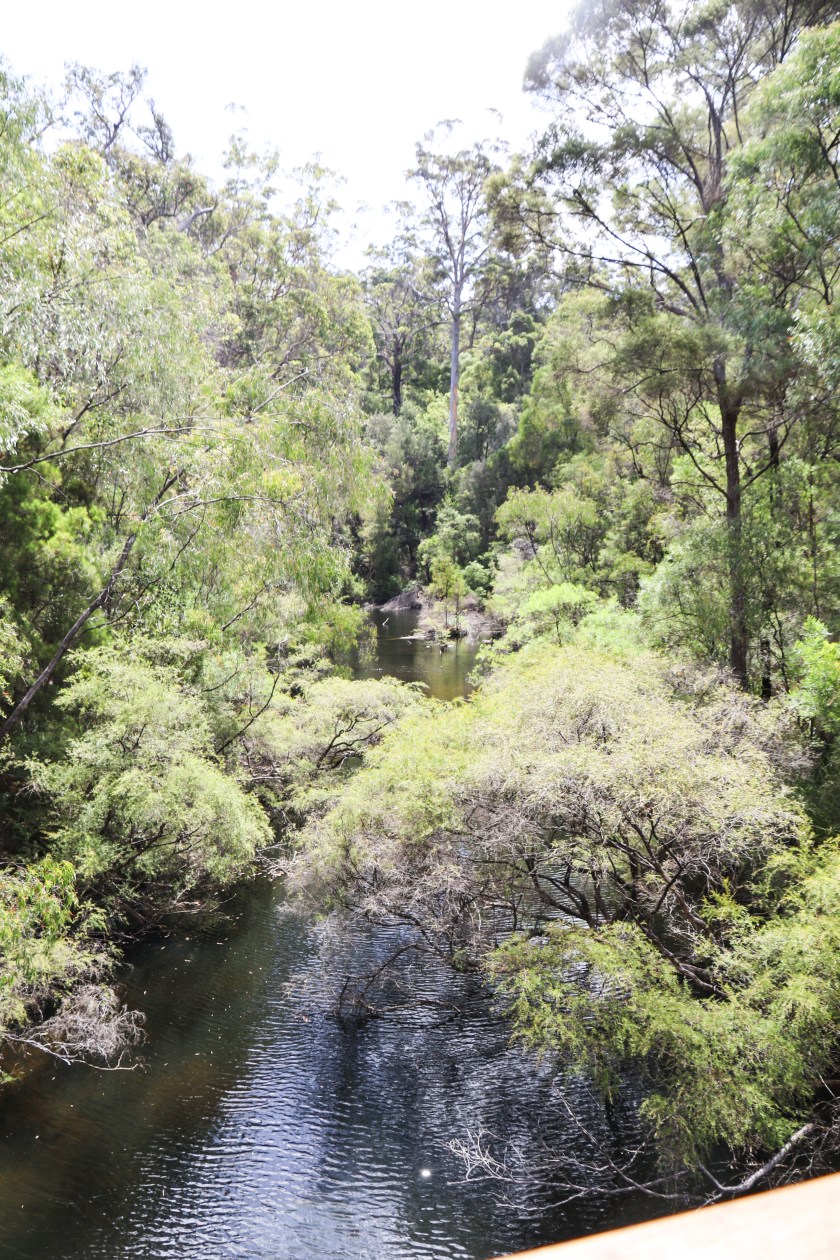 Lefroy Brook - Pemberton Tramway, Pemberton, WA