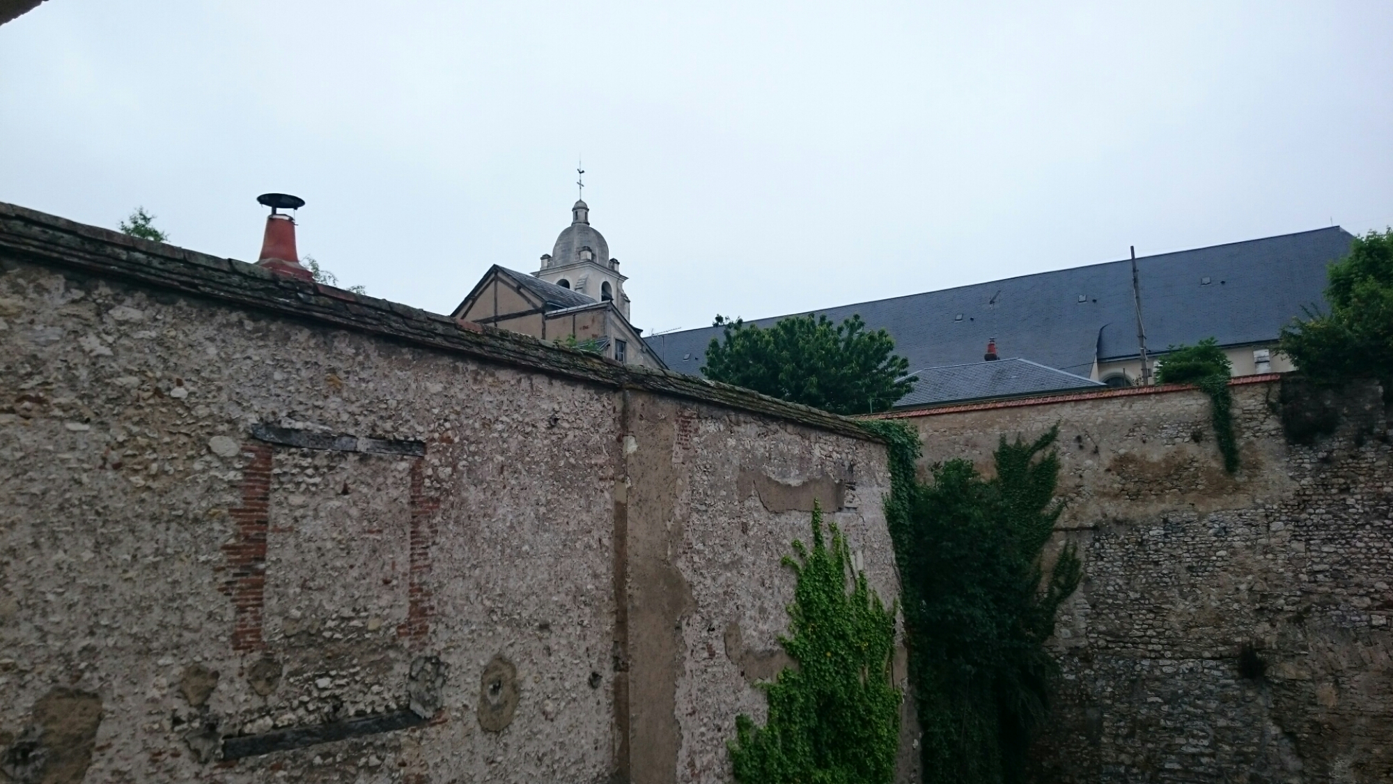 wp-1465134322433 image