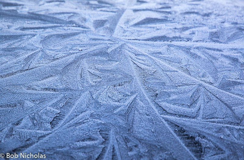 frost2