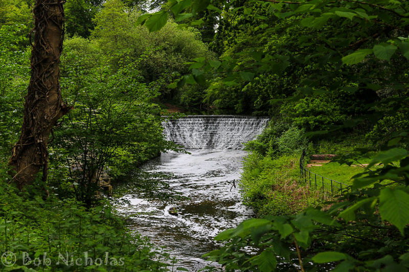 The Weir, River Bollin at Quarry Bank
